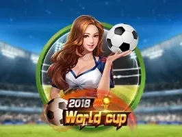 ฟุตบอลโลก thumbnail